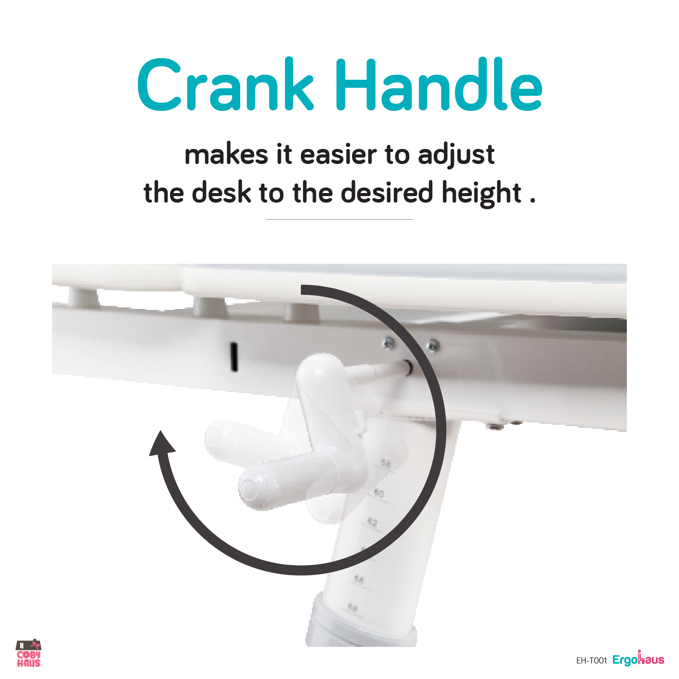 [ErgoHaus] Enlarged Work Surface Desk