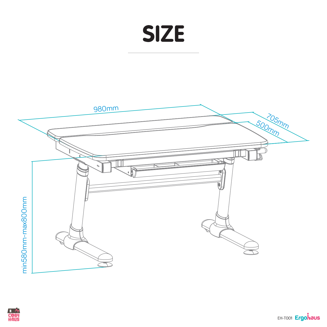 [ErgoHaus] Enlarged Work Surface Desk