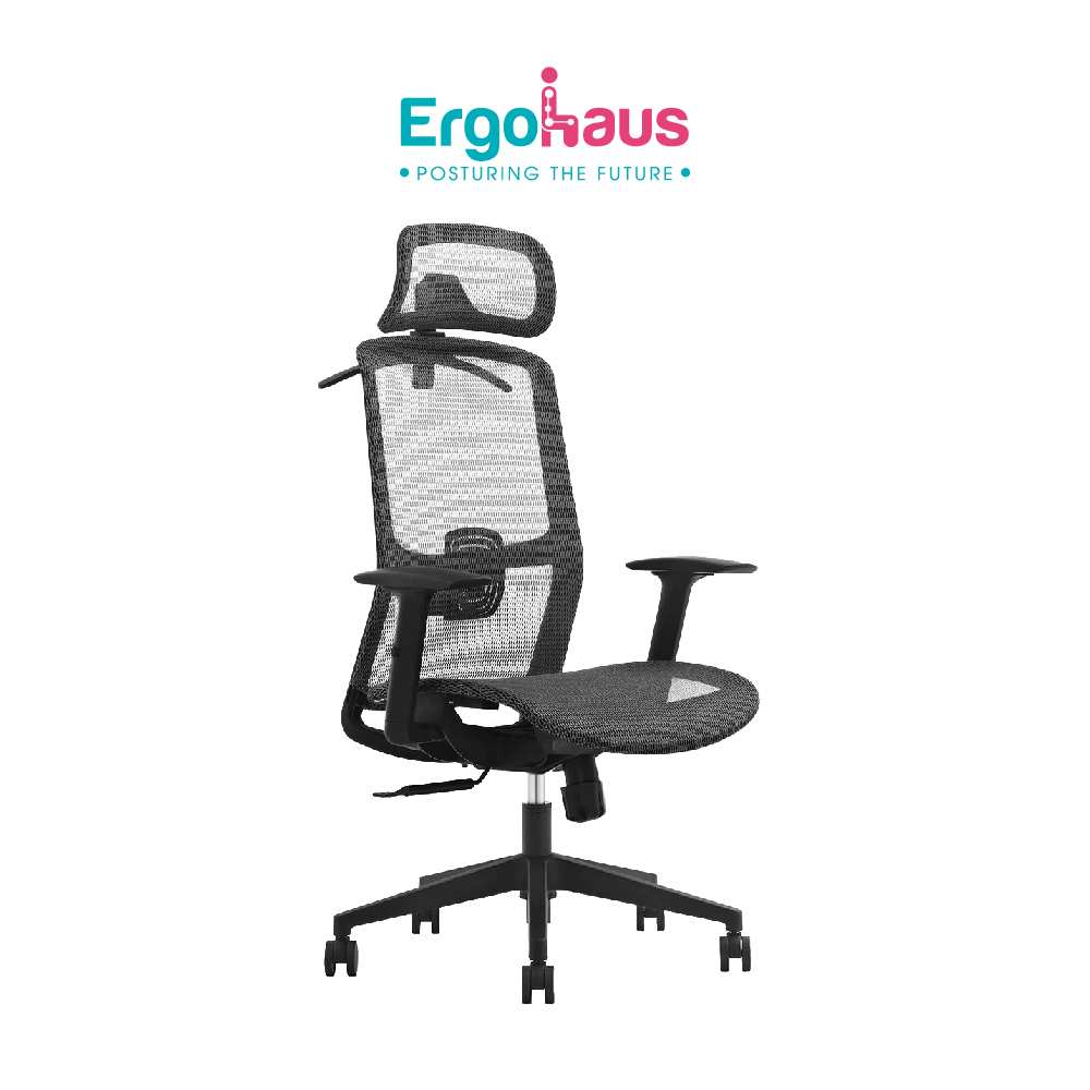 [ErgoHaus] Adult Ergonomic Chair