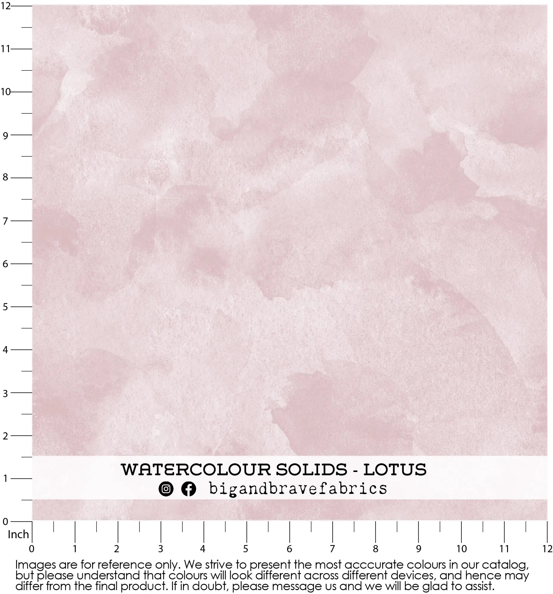 Watercolour Solids, Assorted Colours