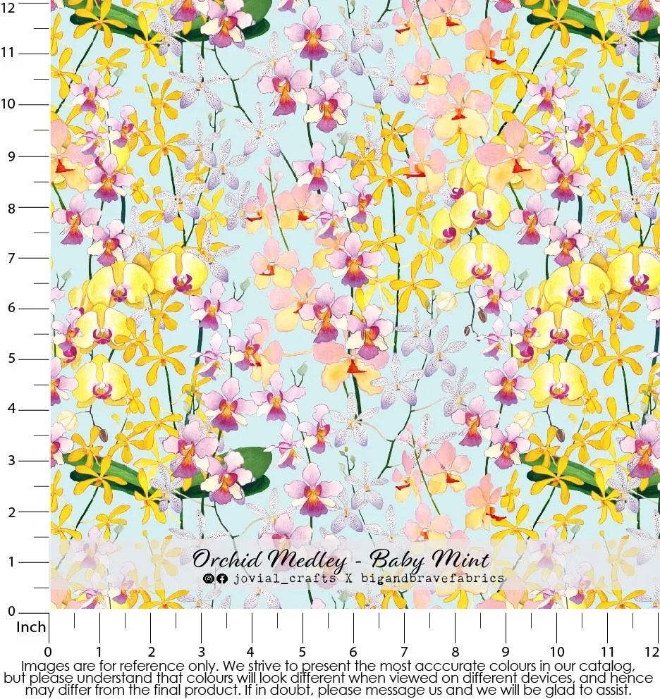 Orchid Medley, Baby Mint
