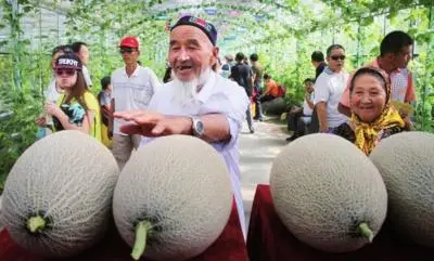 哈密瓜