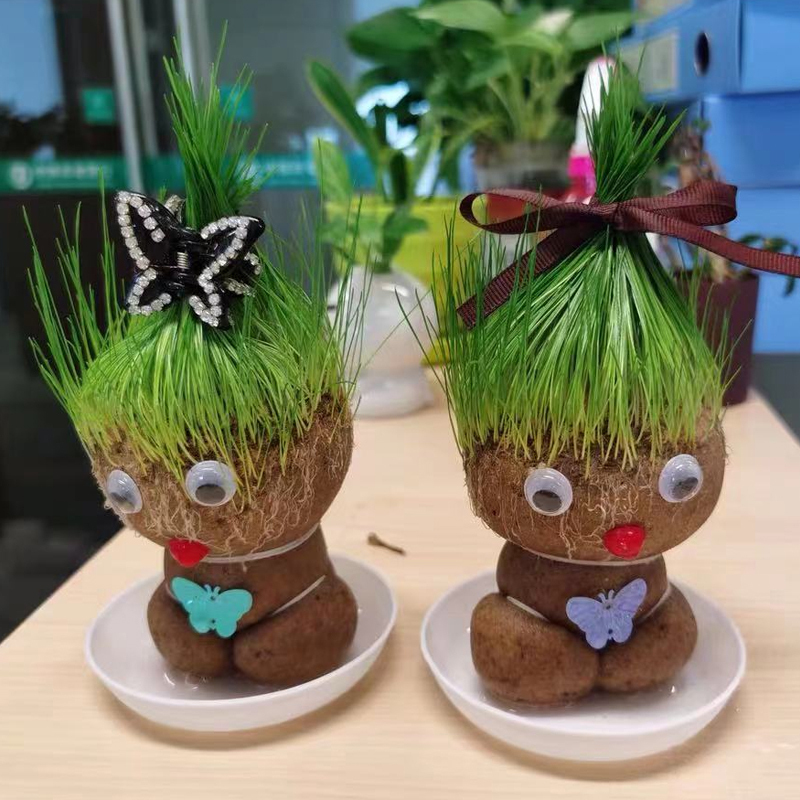 Creative Potted PlantLong Grass Doll