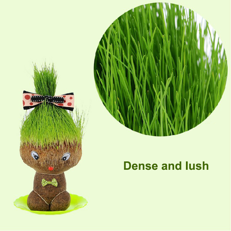 Creative Potted PlantLong Grass Doll