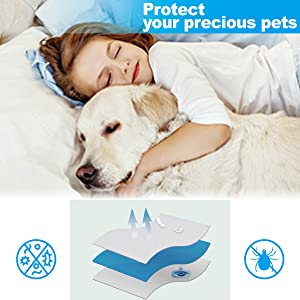 protect your pets